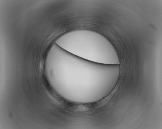 X0000113980166200910020956