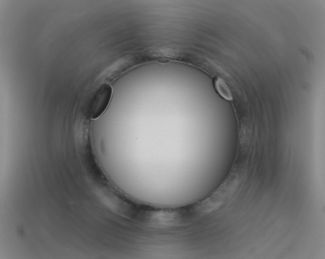 X0000113980168200910020957