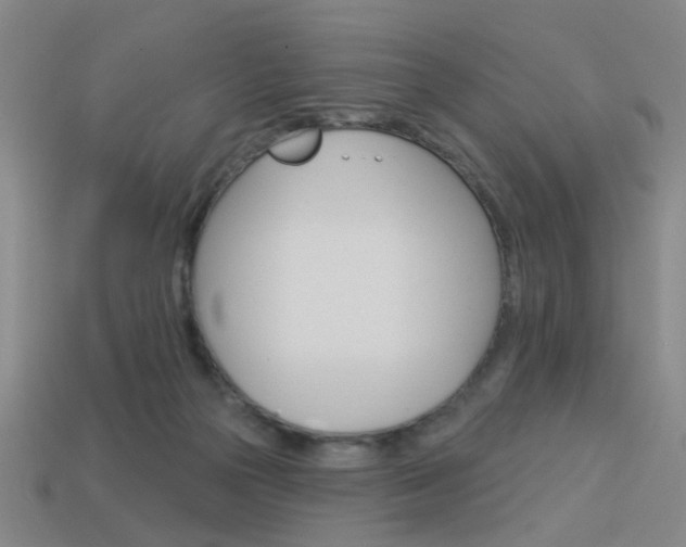 X0000113980169200910020957
