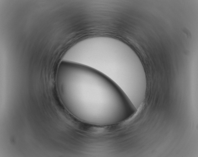X0000113980170200910020957