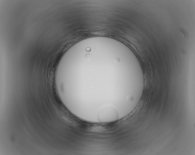 X0000113980171200910020957
