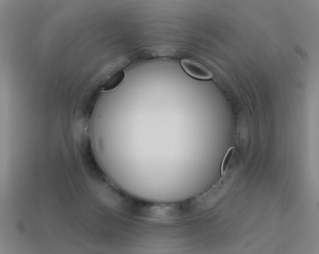 X0000113980172200910020957