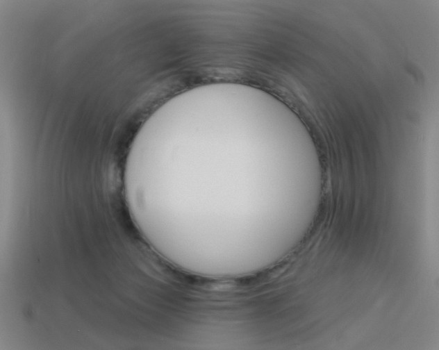 X0000113980173200910020957