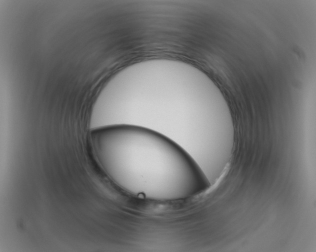 X0000113980174200910020957