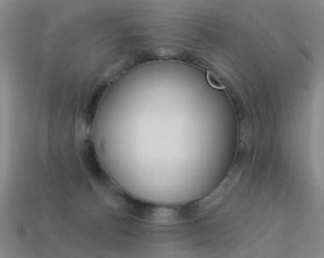 X0000113980176200910020957
