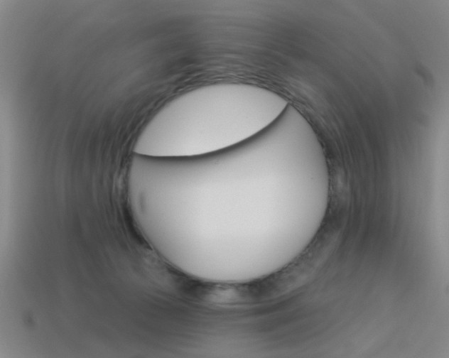 X0000113980177200910020957