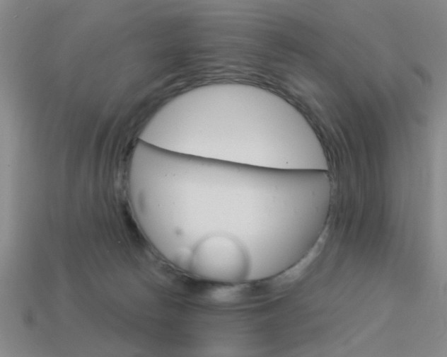 X0000113980178200910020957