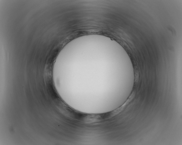 X0000113980179200910020957