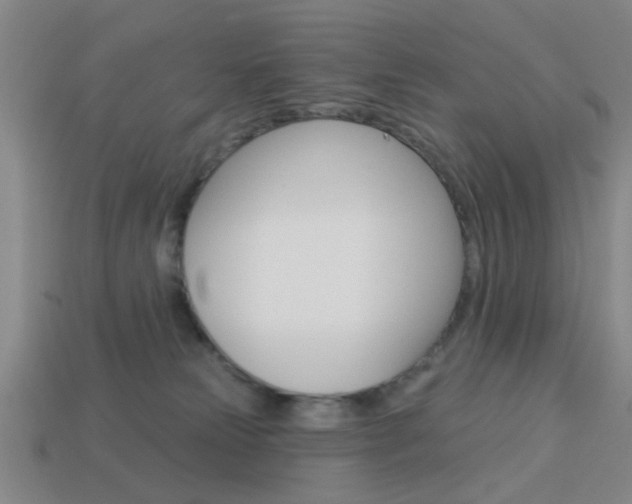 X0000113980181200910020957