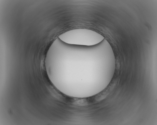 X0000113980185200910020957