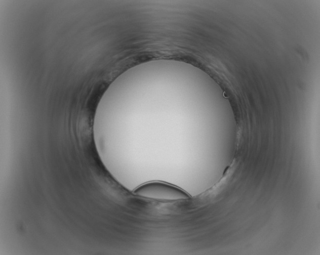 X0000113980186200910020957