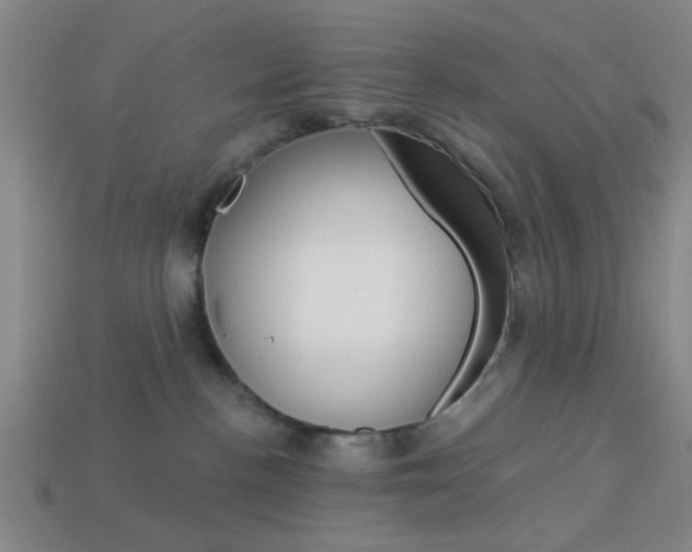 X0000113980188200910020957
