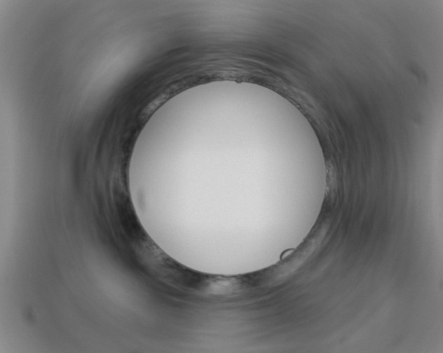 X0000113980189200910020957