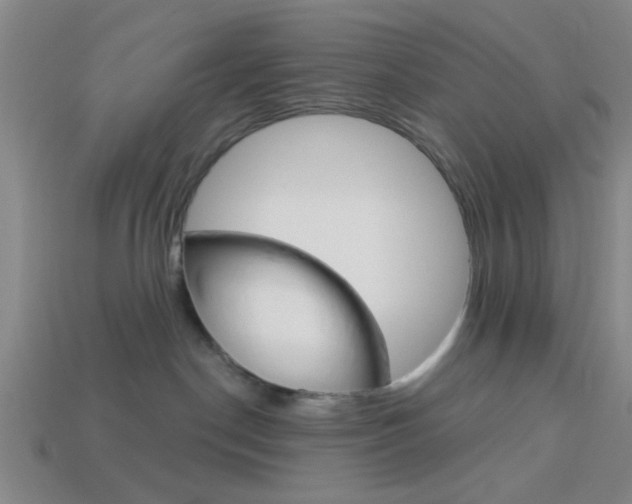 X0000113980190200910020957