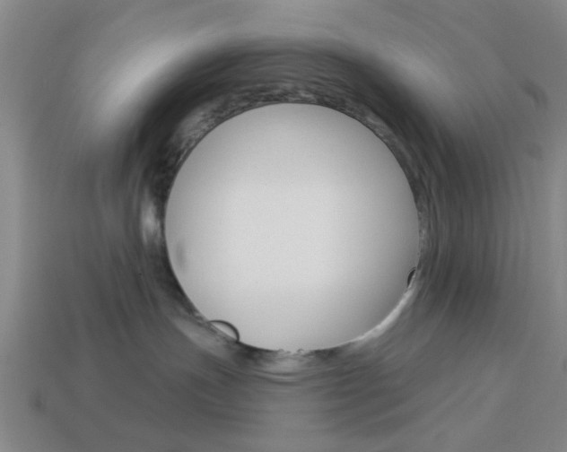X0000113980191200910020957