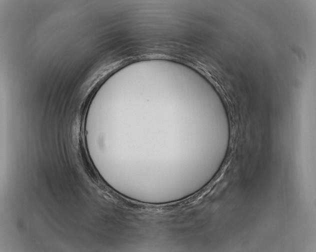 X0000113980194200910020956