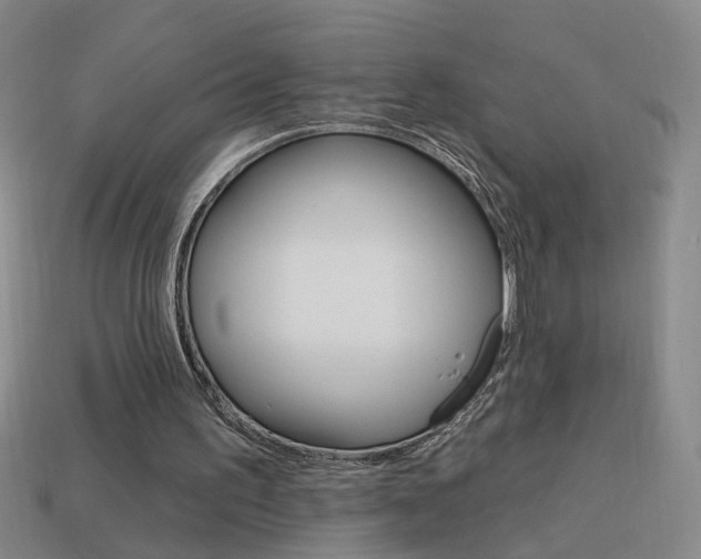 X0000113980195200910020956