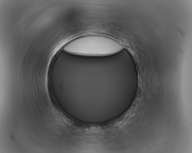 X0000113980196200910020956