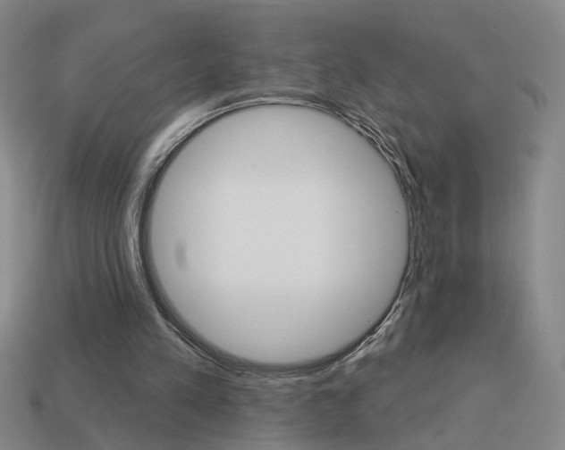 X0000113980197200910020956