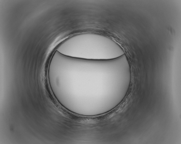 X0000113980198200910020956