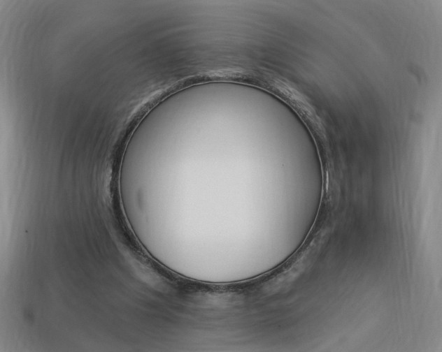 X0000113980201200910020956