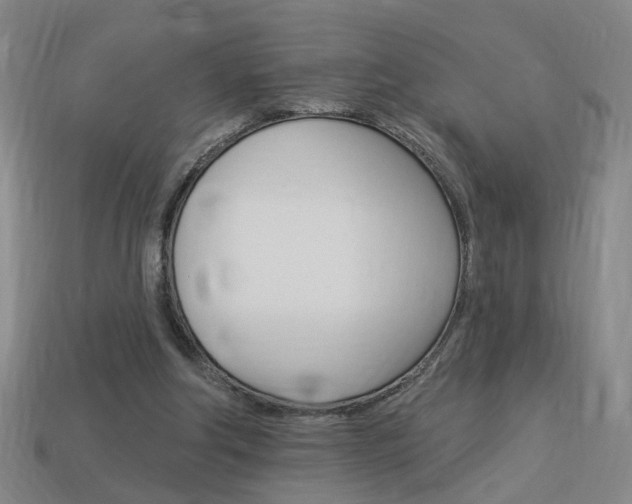 X0000113980202200910020956