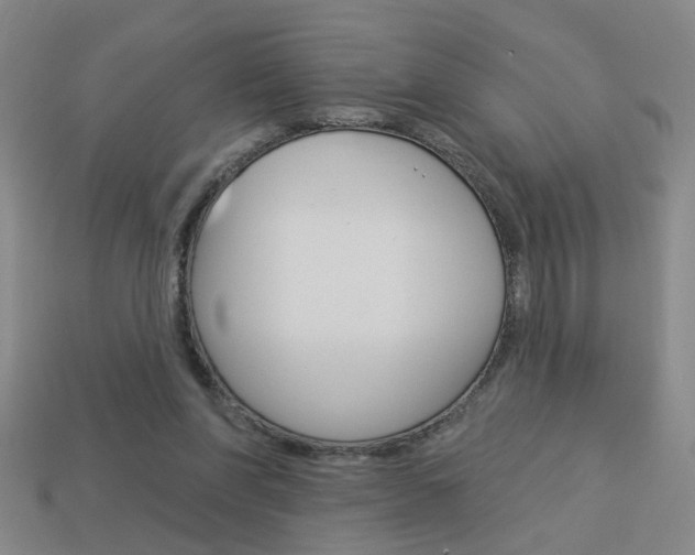 X0000113980206200910020956