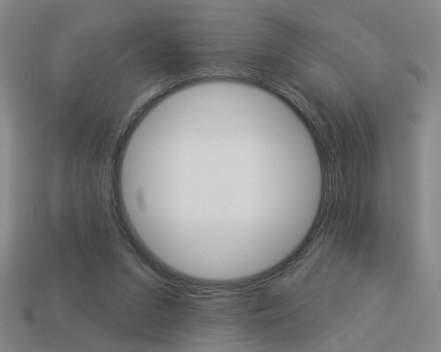 X0000113980207200910020956