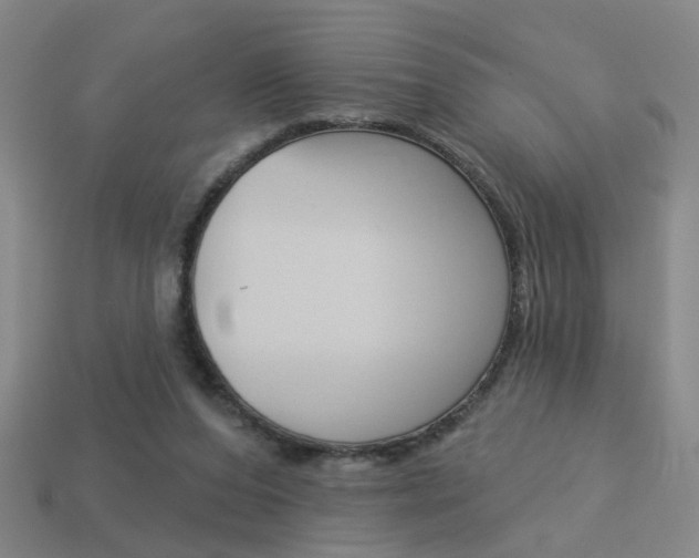 X0000113980208200910020956
