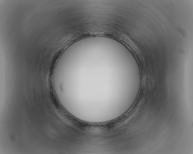 X0000113980209200910020956