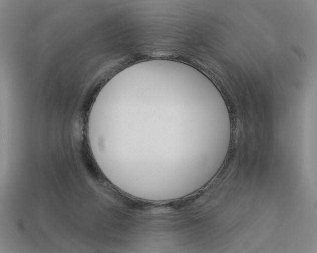 X0000113980210200910020956