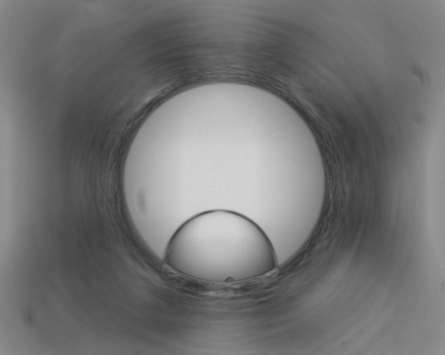 X0000113980211200910020956
