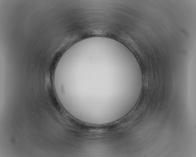 X0000113980213200910020956
