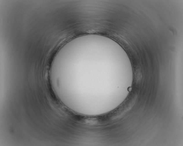 X0000113980214200910020956