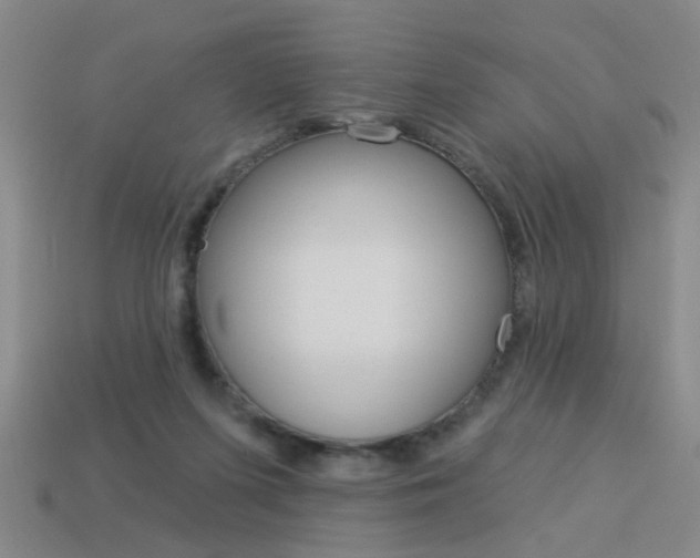 X0000113980215200910020956