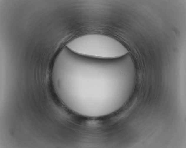 X0000113980216200910020956