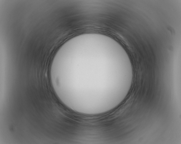 X0000113980217200910020956