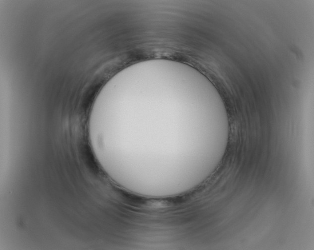 X0000113980218200910020956