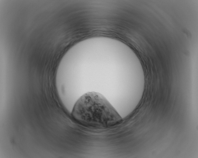 X0000113980219200910020956