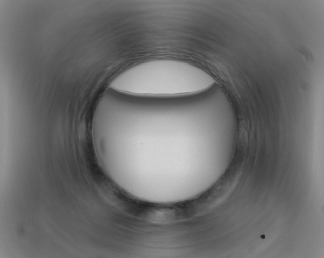 X0000113980220200910020956