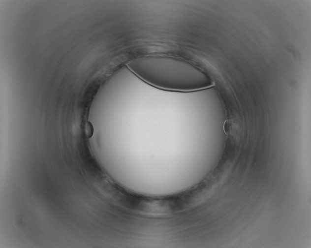 X0000113980221200910020956