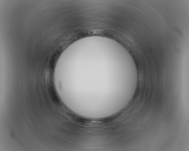 X0000113980222200910020956
