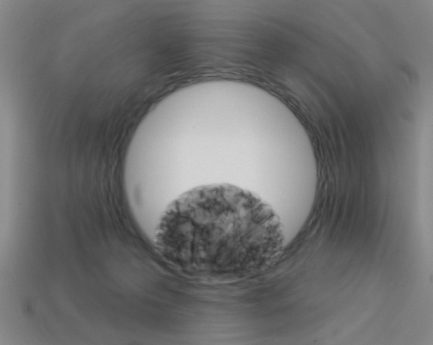 X0000113980223200910020956