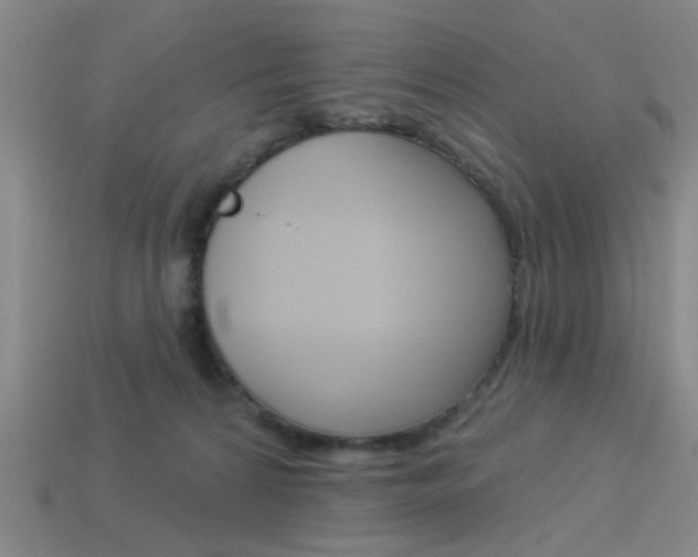 X0000113980224200910020956