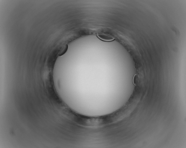 X0000113980225200910020956