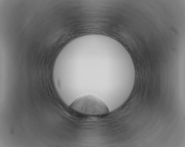 X0000113980227200910020956