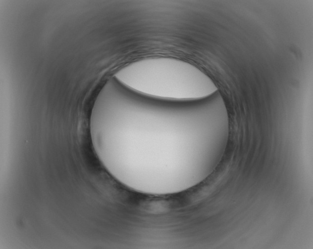 X0000113980228200910020956
