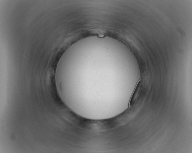 X0000113980229200910020956