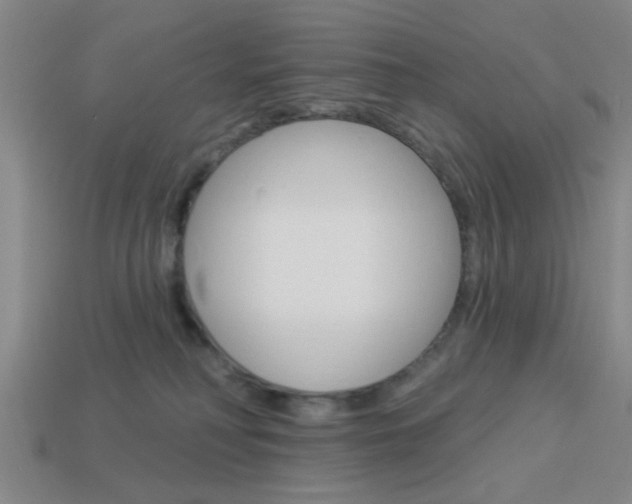 X0000113980230200910020956