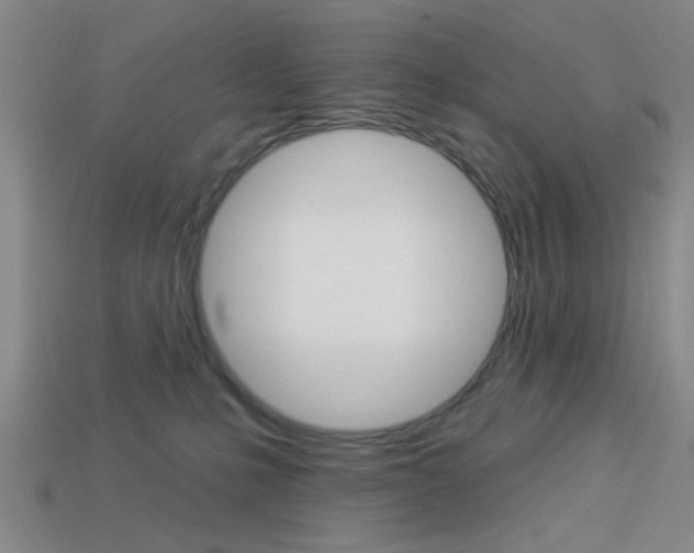 X0000113980231200910020956